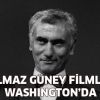 Yılmaz Güney filmleri ilk kez Amerika'da!