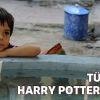 Küçük Osman, Türkiye'nin Harry Potter'ı oluyor!